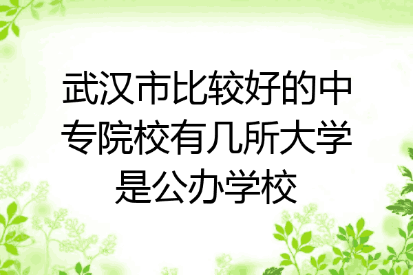 武汉市比较好的中专院校有几所大学是公办学校