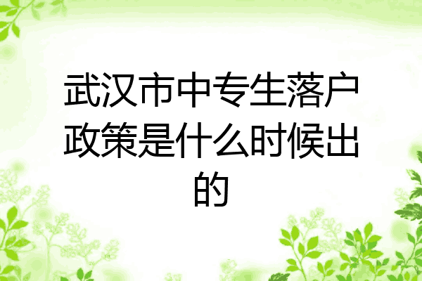 武汉市中专生落户政策是什么时候出的