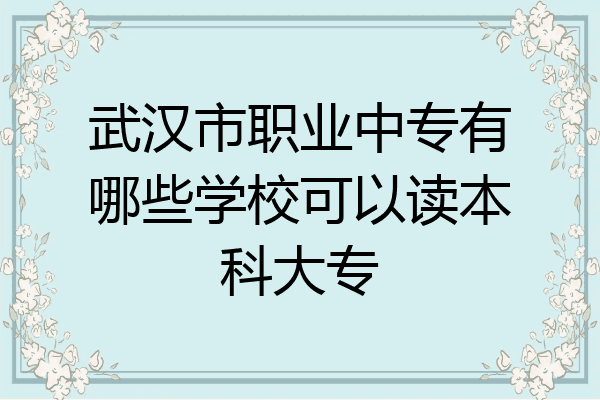 武汉市职业中专有哪些学校可以读本科大专