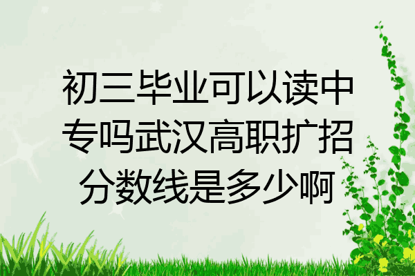 初三毕业可以读中专吗武汉高职扩招分数线是多少啊