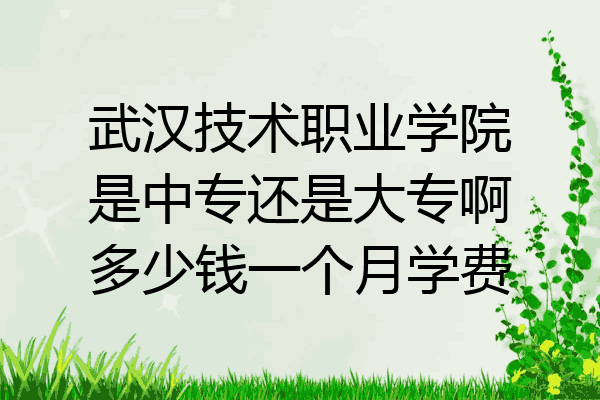 武汉技术职业学院是中专还是大专啊多少钱一个月学费