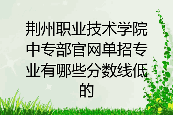 荆州职业技术学院中专部官网单招专业有哪些分数线低的