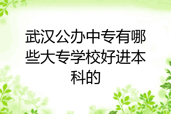 武汉公办中专有哪些大专学校好进本科的