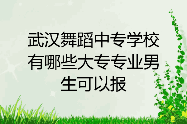 武汉舞蹈中专学校有哪些大专专业男生可以报