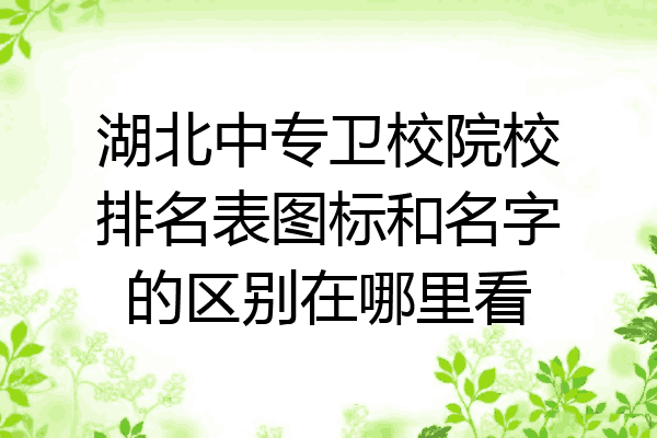 湖北中专卫校院校排名表图标和名字的区别在哪里看