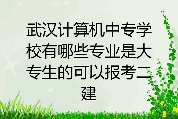 武汉计算机中专学校有哪些专业是大专生的可以报考二建
