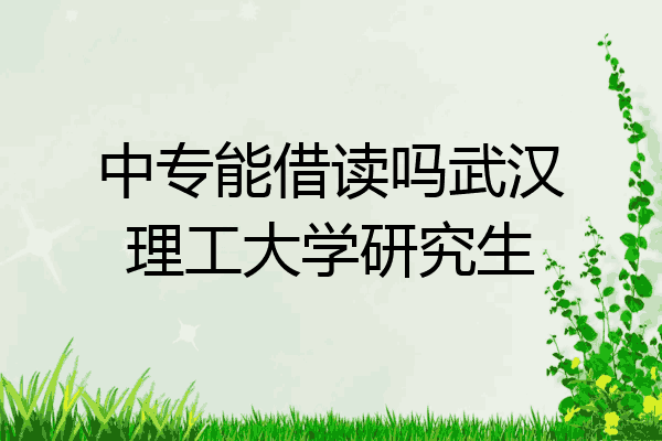 中专能借读吗武汉理工大学研究生