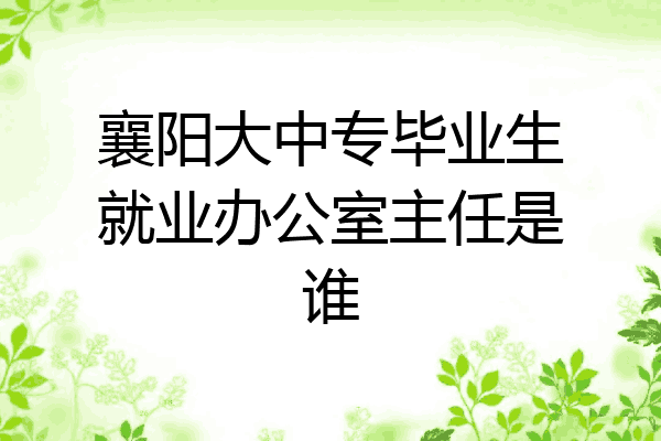 襄阳大中专毕业生就业办公室主任是谁