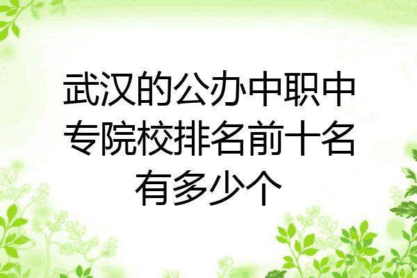 武汉的公办中职中专院校排名前十名有多少个