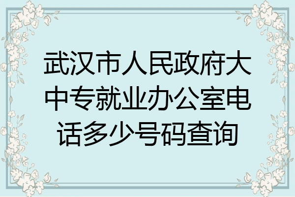 武汉市人民政府大中专就业办公室电话多少号码查询