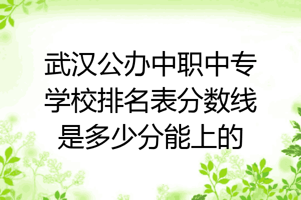 武汉公办中职中专学校排名表分数线是多少分能上的