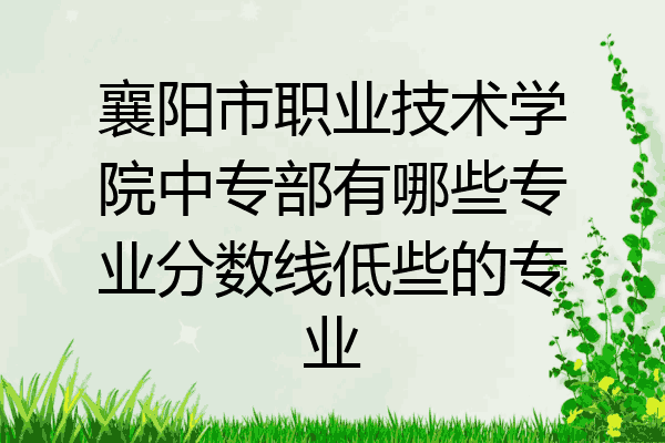 襄阳市职业技术学院中专部有哪些专业分数线低些的专业