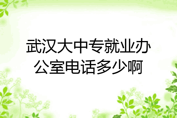 武汉大中专就业办公室电话多少啊