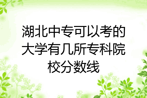 湖北中专可以考的大学有几所专科院校分数线