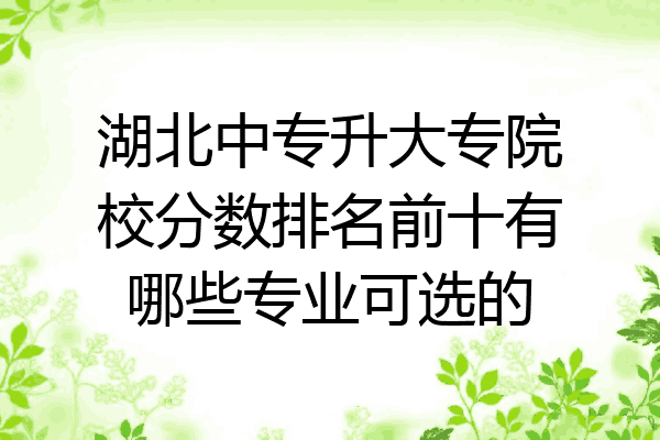 湖北中专升大专院校分数排名前十有哪些专业可选的