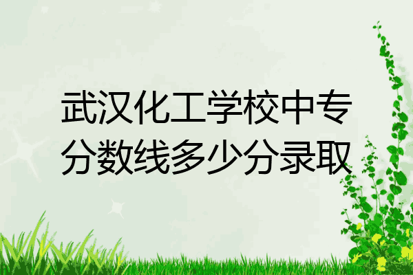 武汉化工学校中专分数线多少分录取