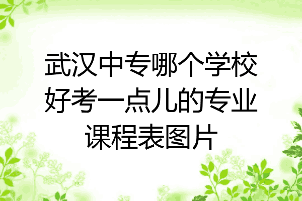 武汉中专哪个学校好考一点儿的专业课程表图片