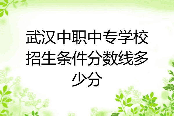 武汉中职中专学校招生条件分数线多少分