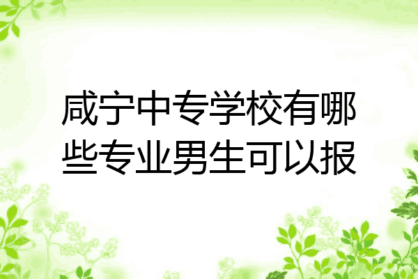咸宁中专学校有哪些专业男生可以报