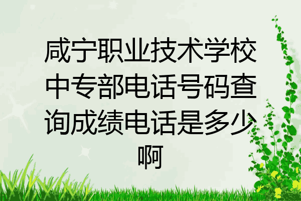 咸宁职业技术学校中专部电话号码查询成绩电话是多少啊