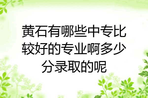 黄石有哪些中专比较好的专业啊多少分录取的呢