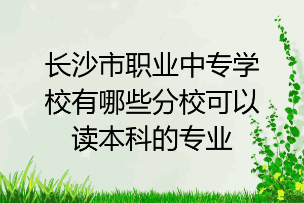 长沙市职业中专学校有哪些分校可以读本科的专业