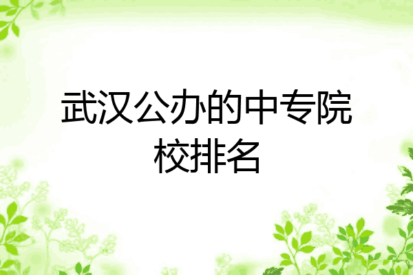 武汉公办的中专院校排名