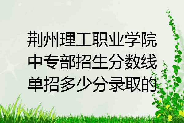 荆州理工职业学院中专部招生分数线单招多少分录取的
