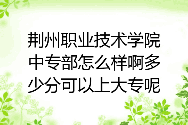 荆州职业技术学院中专部怎么样啊多少分可以上大专呢