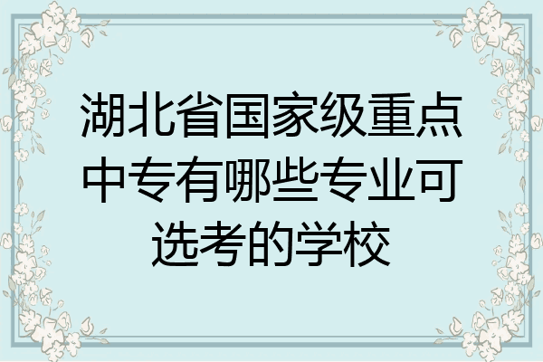 湖北省国家级重点中专有哪些专业可选考的学校