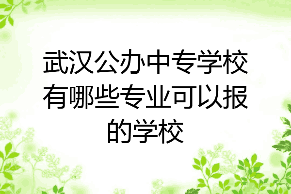 武汉公办中专学校有哪些专业可以报的学校
