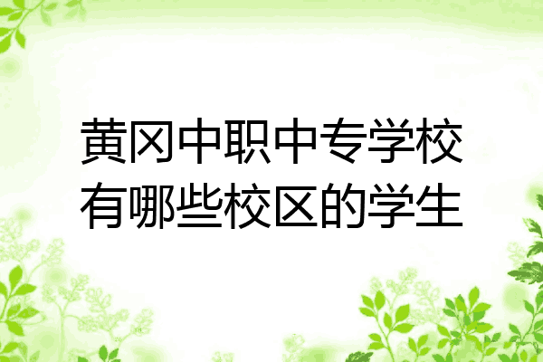 黄冈中职中专学校有哪些校区的学生