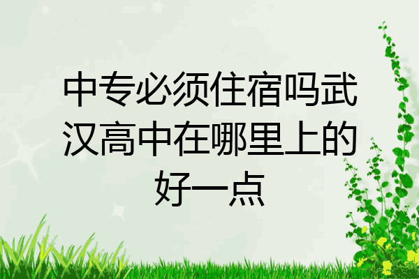中专必须住宿吗武汉高中在哪里上的好一点