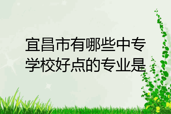 宜昌市有哪些中专学校好点的专业是