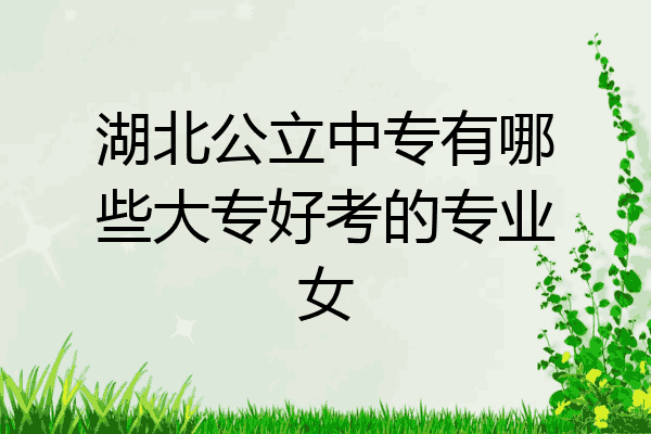 湖北公立中专有哪些大专好考的专业女