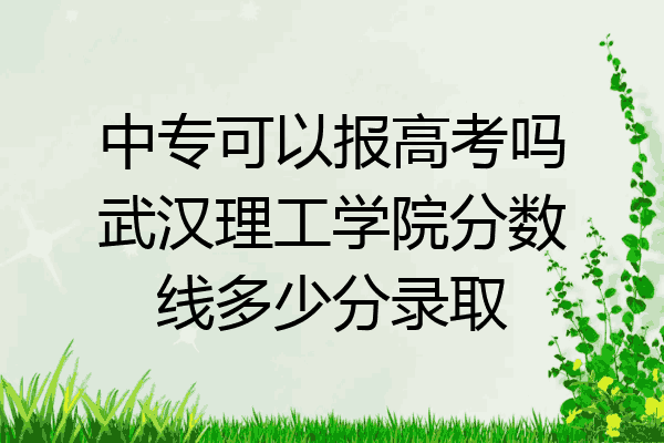 中专可以报高考吗武汉理工学院分数线多少分录取