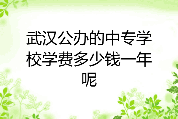 武汉公办的中专学校学费多少钱一年呢