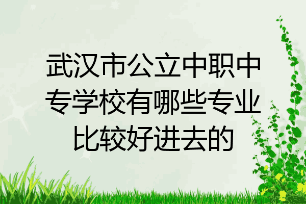 武汉市公立中职中专学校有哪些专业比较好进去的