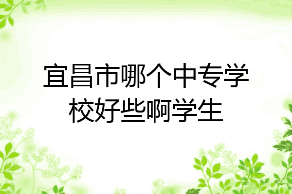 宜昌市哪个中专学校好些啊学生