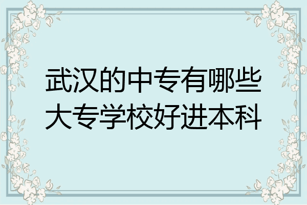 武汉的中专有哪些大专学校好进本科