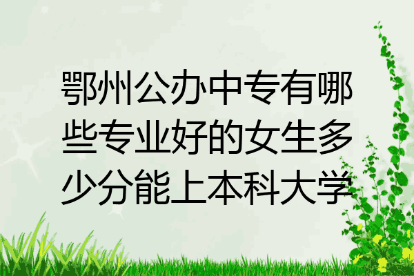 鄂州公办中专有哪些专业好的女生多少分能上本科大学