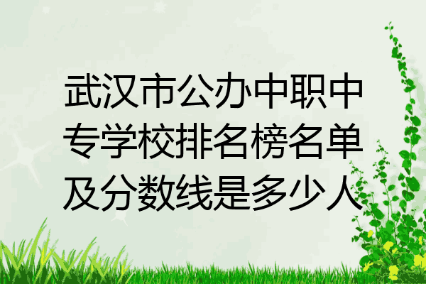 武汉市公办中职中专学校排名榜名单及分数线是多少人