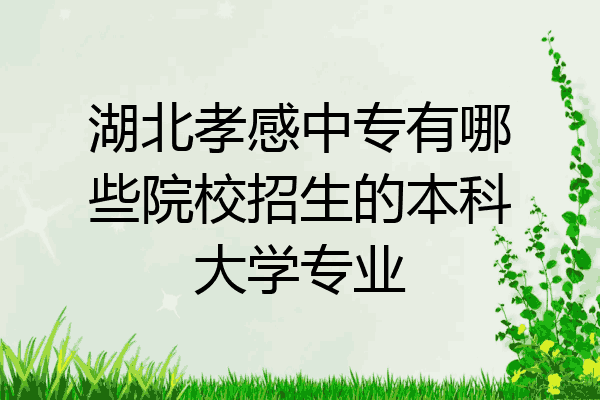 湖北孝感中专有哪些院校招生的本科大学专业