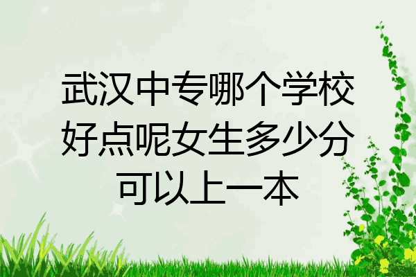 武汉中专哪个学校好点呢女生多少分可以上一本