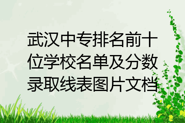 武汉中专排名前十位学校名单及分数录取线表图片文档