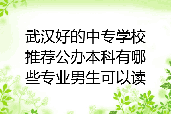 武汉好的中专学校推荐公办本科有哪些专业男生可以读
