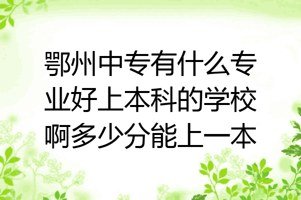 鄂州中专有什么专业好上本科的学校啊多少分能上一本