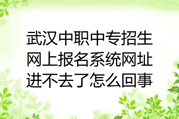 武汉中职中专招生网上报名系统网址进不去了怎么回事