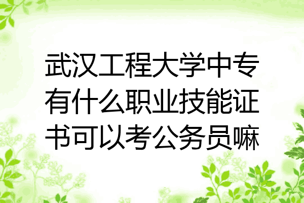 武汉工程大学中专有什么职业技能证书可以考公务员嘛