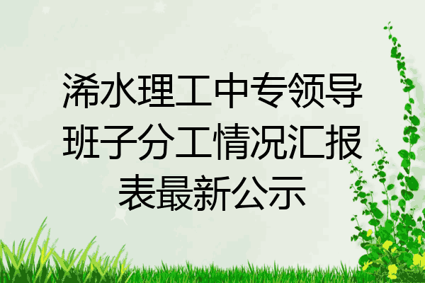 浠水理工中专领导班子分工情况汇报表最新公示